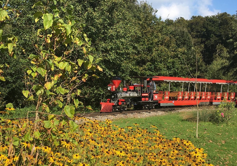 Parkbahn im Wild- und Freizeitpark Allensbach (Feldbahn) – Allensbach 78476