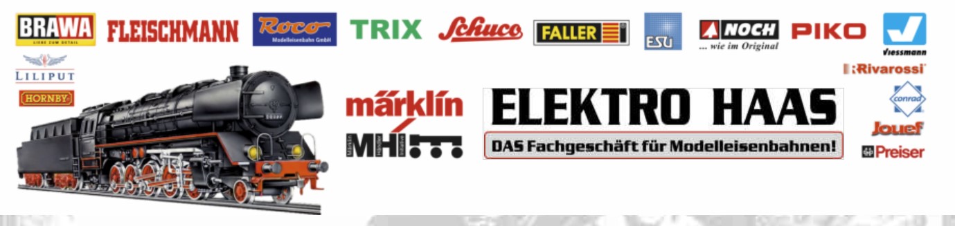 Elektro und Eisenbahnen Haas – Elzach 79215