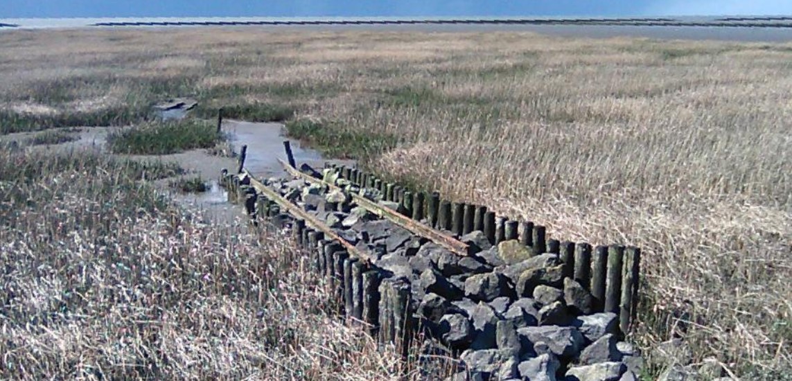 Gleisreste Küstenschutzbahn (Feldbahn) – Wurster Nordseeküste 27637